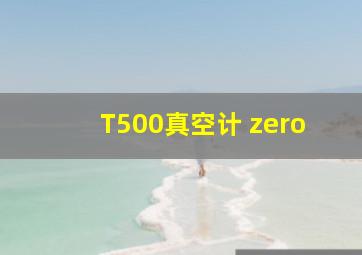 T500真空计 zero